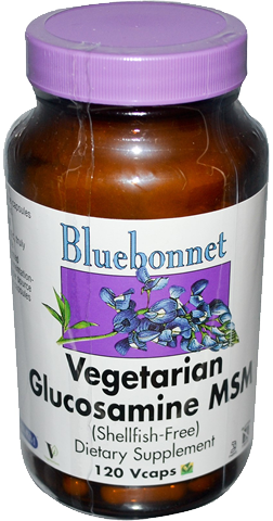 vegetarian glucosamine singapore bluebonnet