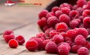 Raspberry Ketone Singapore