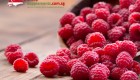 Raspberry Ketone Singapore