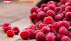 Raspberry Ketone Singapore