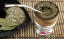 Yerba Mate Tea Singapore, Where to Buy and Save