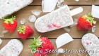 Chia Seed Recipe – Chia Seed, Strawberry & Coconut Popsicles