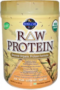 garden of life singapore raw protein