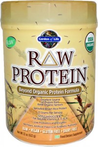 garden of life singapore raw protein