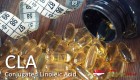 CLA (Conjugated Linoleic Acid) Singapore