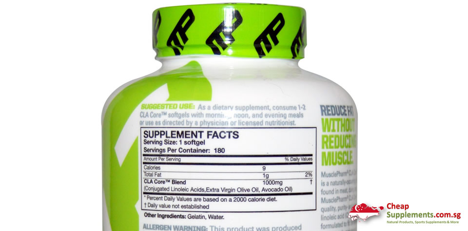 cla singaporea musclepharm cla blend