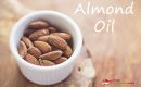 Where to buy Almond Oil in Singapore