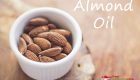 Where to buy Almond Oil in Singapore