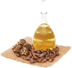 castor-oil-and-seeds