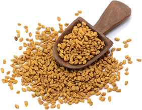 fenugreek singapore